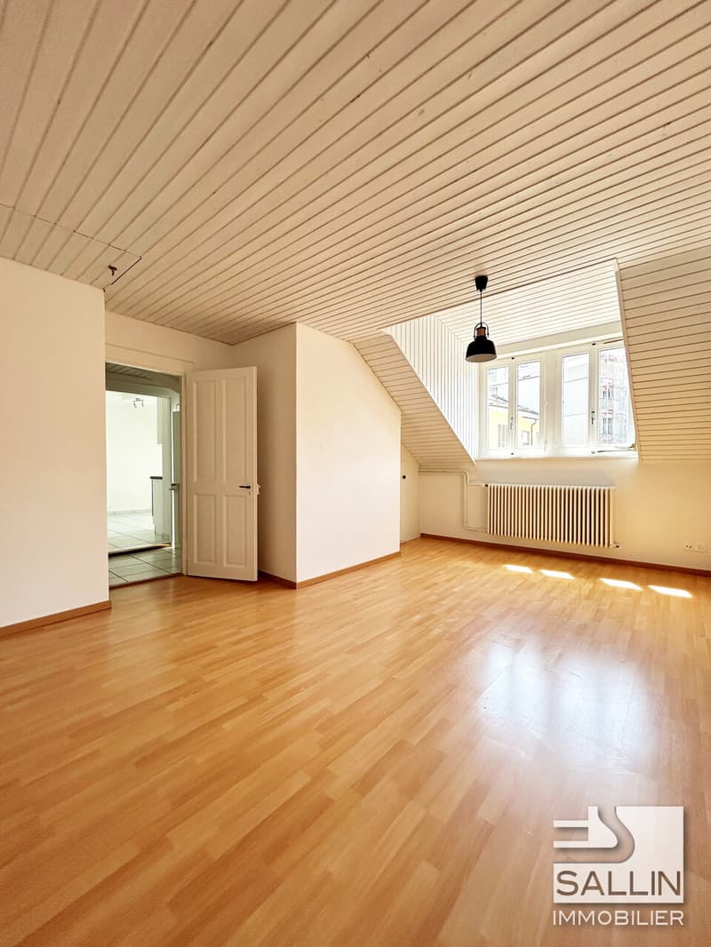 Apartment with 3½ rooms close to all amenities (2)