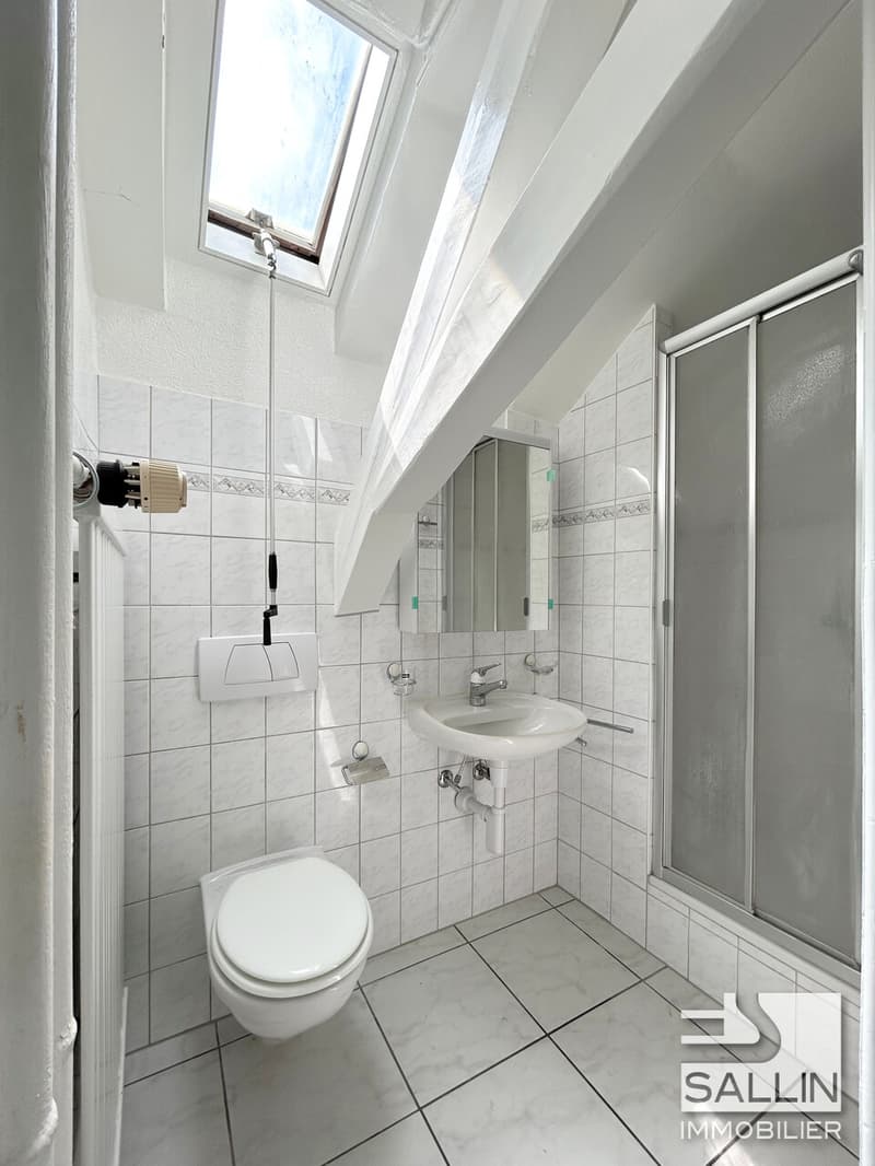 Apartment with 3½ rooms close to all amenities (7)