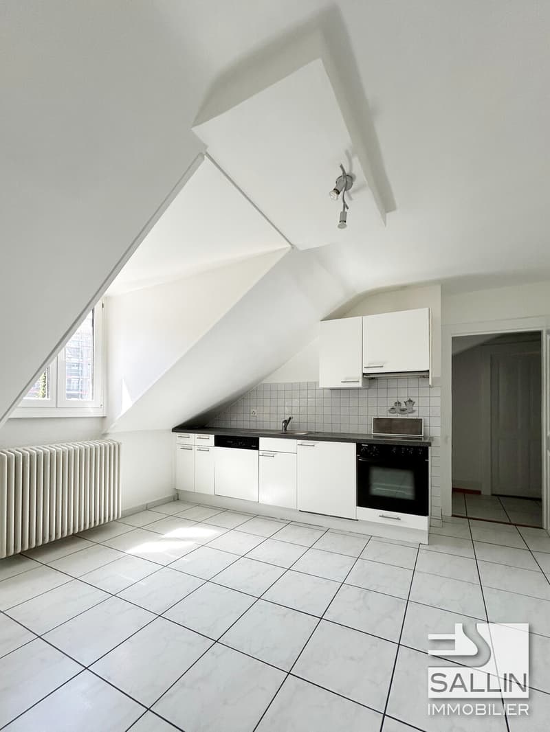 Apartment with 3½ rooms close to all amenities (6)