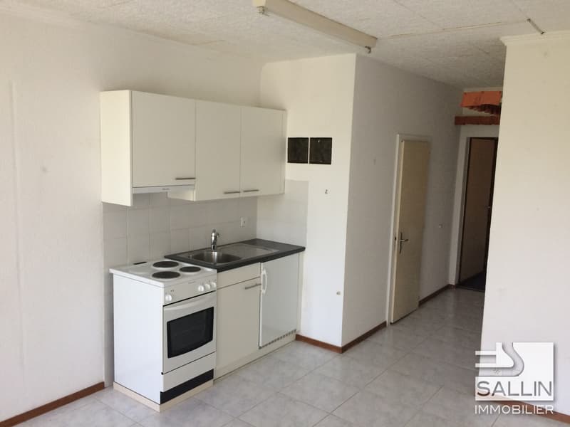 Studio with beautiful view of the Sarine (4)