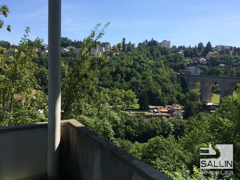 Studio with beautiful view of the Sarine (3)