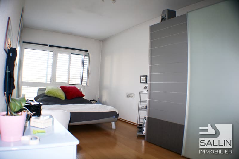 Spacious and bright recently renovated apartment (6)