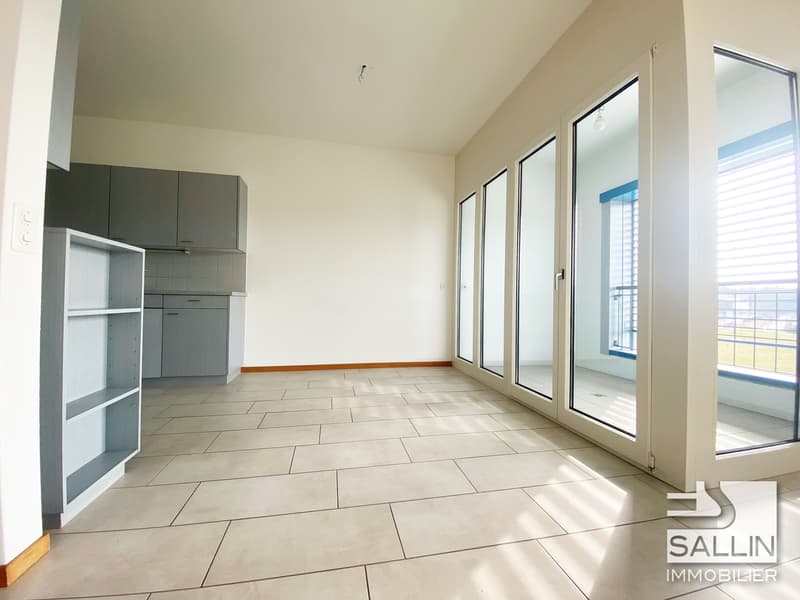 Spacious and bright recently renovated apartment (4)