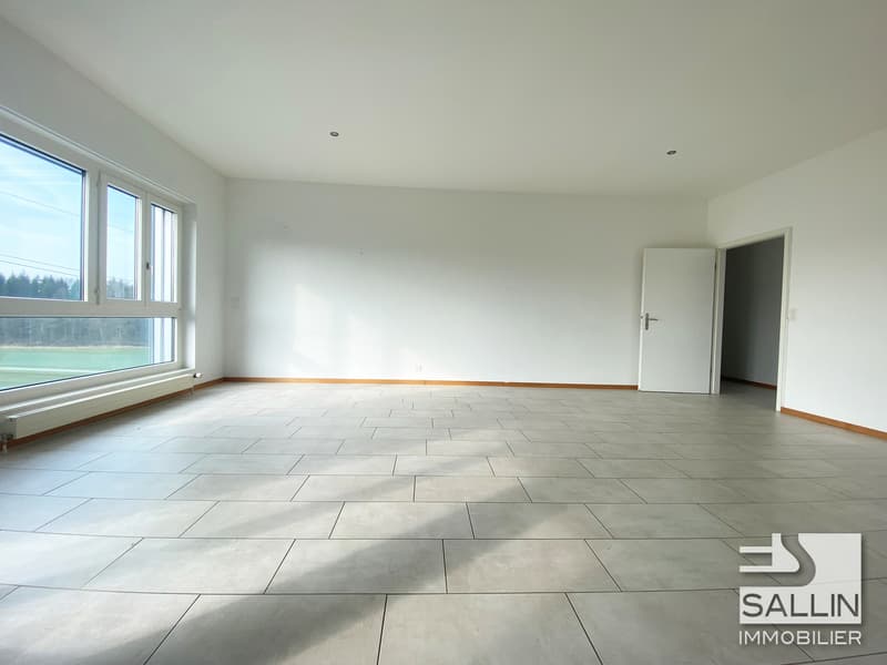 Spacious and bright recently renovated apartment (3)