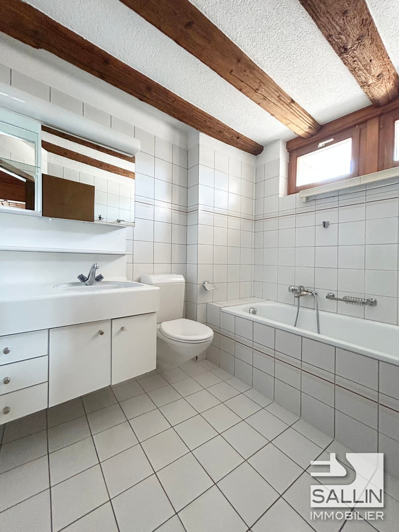 DUPLEX 3½ PIECES EN BASSE VILLE (9)