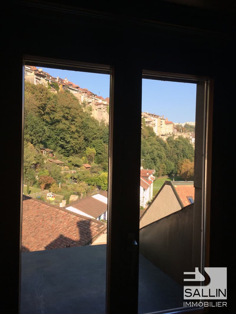 DUPLEX 3½ PIECES EN BASSE VILLE (9)