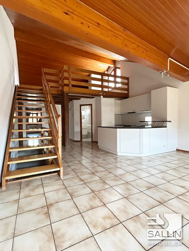 DUPLEX 3½ PIECES EN BASSE VILLE (4)