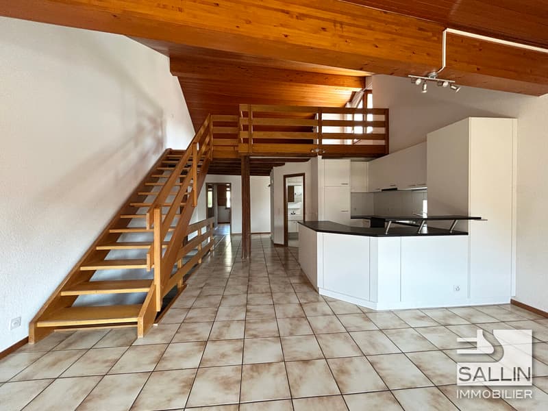 DUPLEX 3½ PIECES EN BASSE VILLE (3)