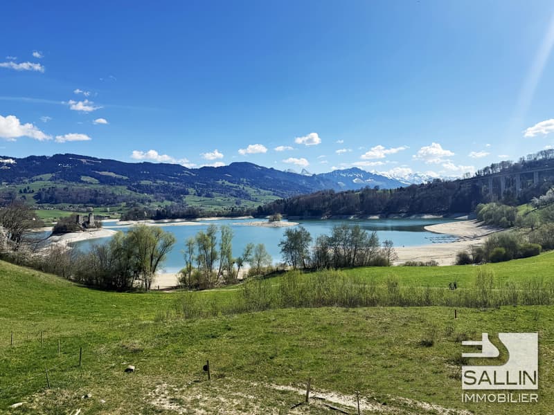 Beautiful 3½-room apartment with breathtaking views of Lake Gruyère (1)