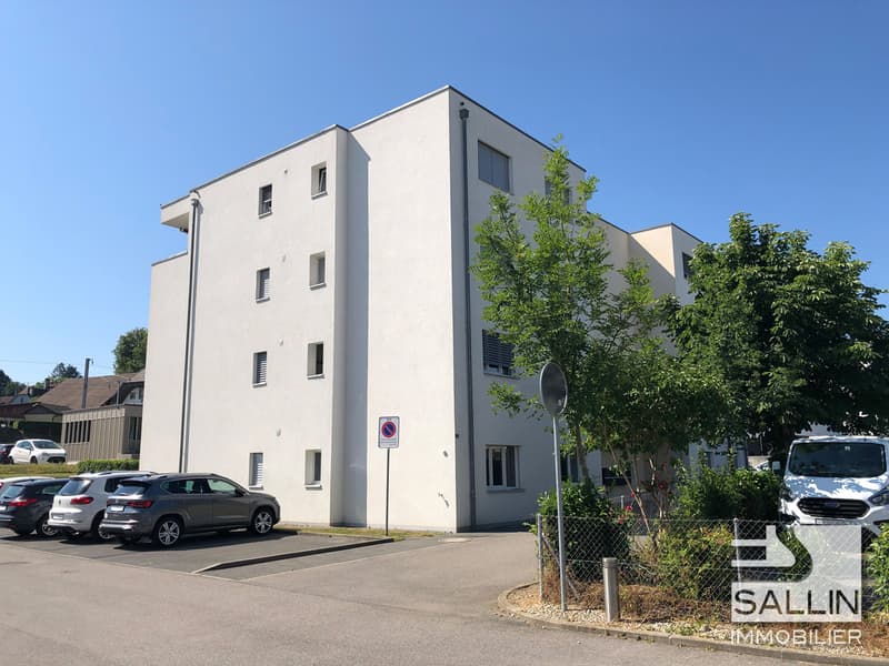 PRÄCHTIGES 2½-ZIMMER-WOHNUNG MIT TERRASSE (2)