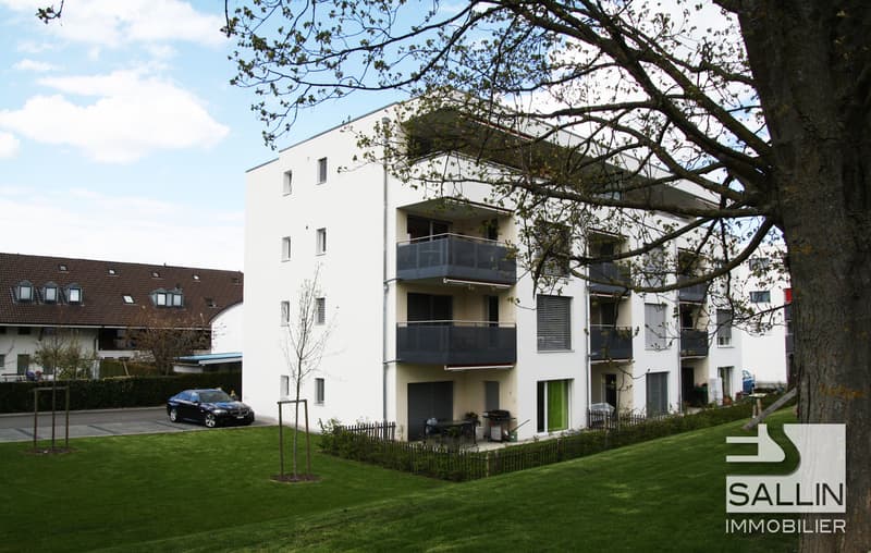 PRÄCHTIGES 2½-ZIMMER-WOHNUNG MIT TERRASSE (1)