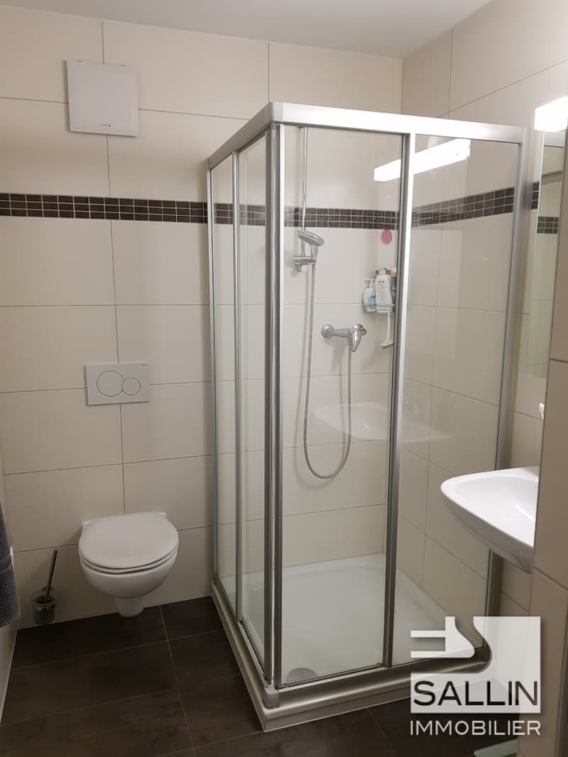 PRÄCHTIGES 2½-ZIMMER-WOHNUNG MIT TERRASSE (6)