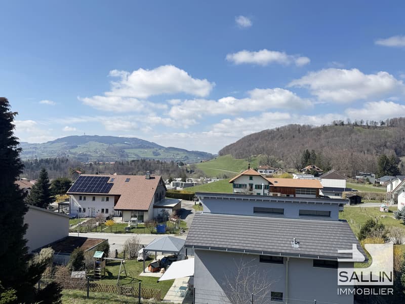Elegant property of 6½ rooms of approx. 250 m², pool, SPA and garage (2)