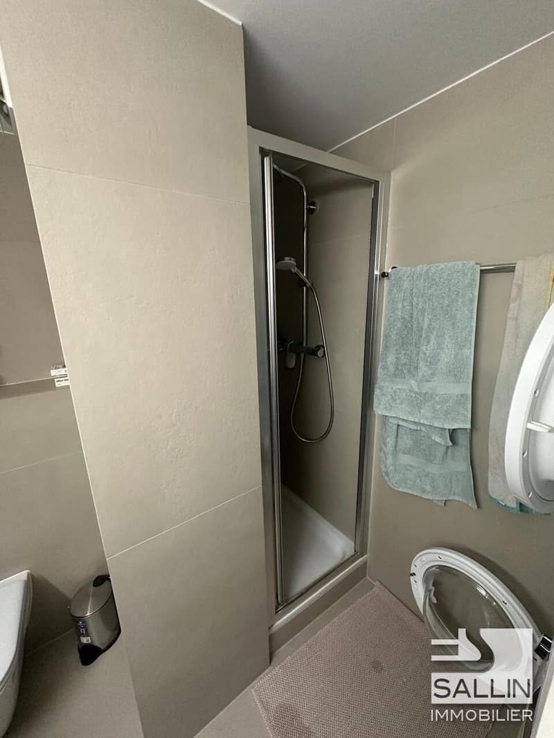 Renovated 3½ room duplex apartment at the entrance of the lower town (12)