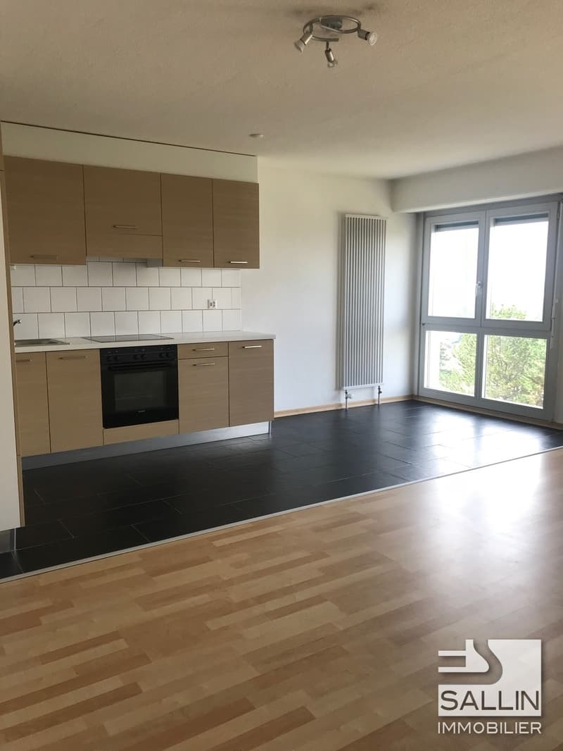 Appartamento di 3 locali in un quartiere familiare (3)