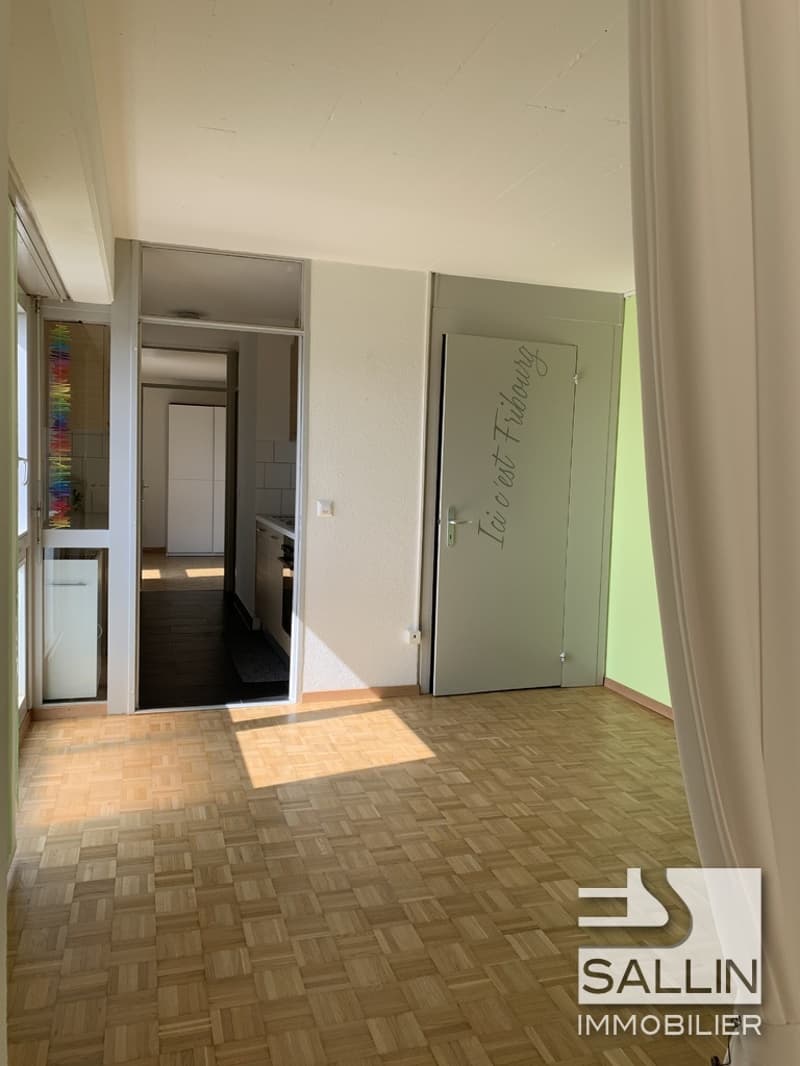 APPARTEMENT RENOVE DE 2½ PIECES AVEC VUE DEGAGEE (10)