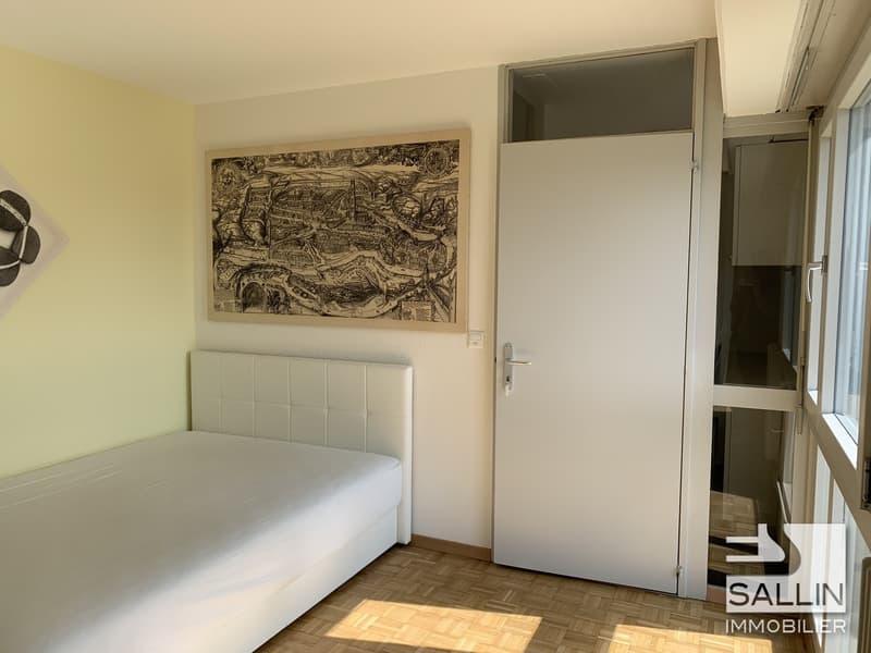 APPARTEMENT RENOVE DE 2½ PIECES AVEC VUE DEGAGEE (7)