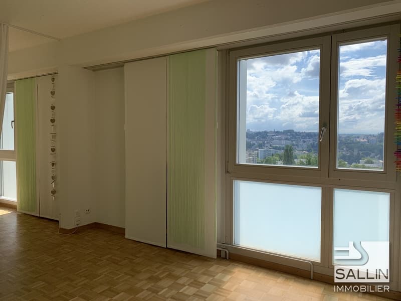 APPARTEMENT RENOVE DE 2½ PIECES AVEC VUE DEGAGEE (12)