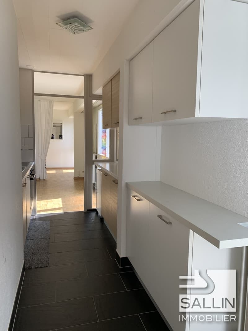 APPARTEMENT RENOVE DE 2½ PIECES AVEC VUE DEGAGEE (4)