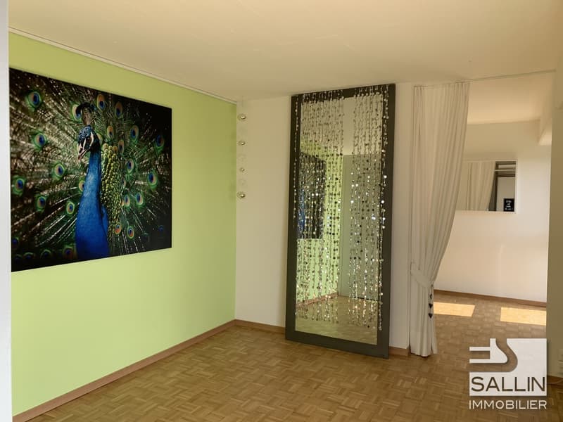APPARTEMENT RENOVE DE 2½ PIECES AVEC VUE DEGAGEE (13)