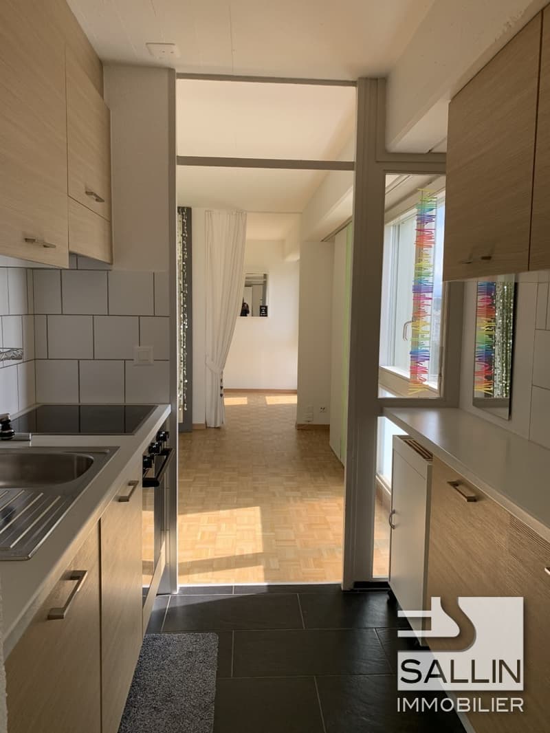 APPARTEMENT RENOVE DE 2½ PIECES AVEC VUE DEGAGEE (3)