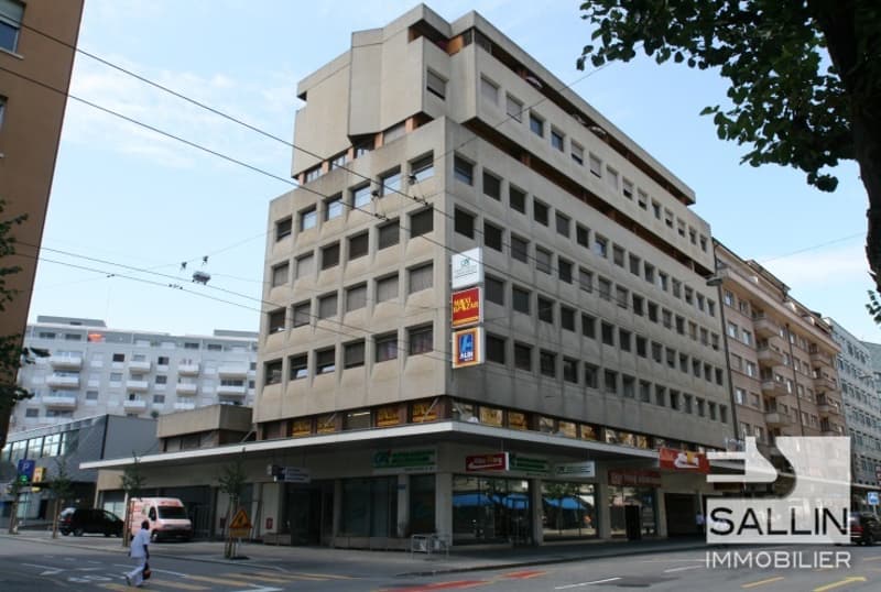 APPARTEMENT DE 3½ PIECES AU CENTRE VILLE (1)