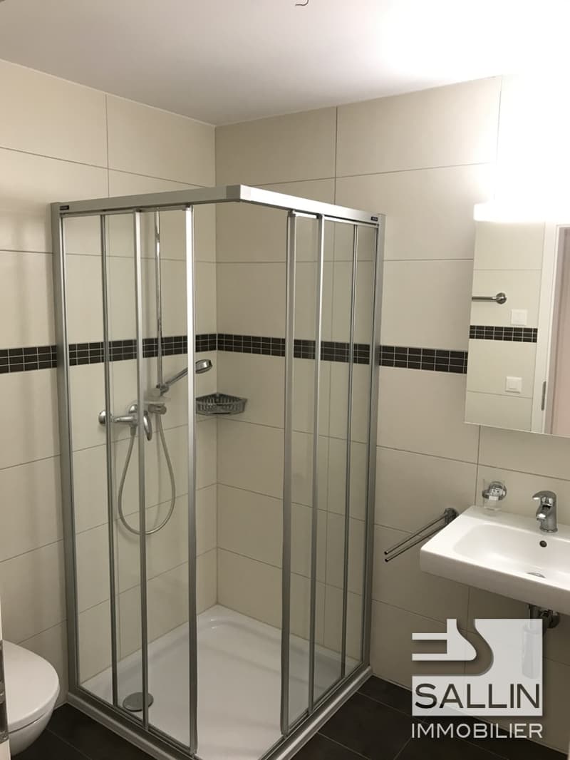 APPARTEMENT MODERNE DE 3½ PIECES (4)
