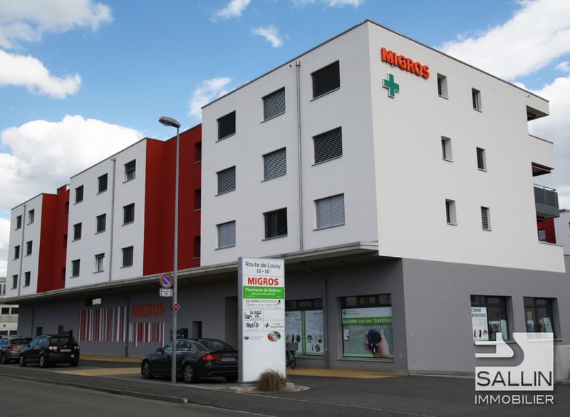APPARTEMENT MODERNE DE 3½ PIECES (1)
