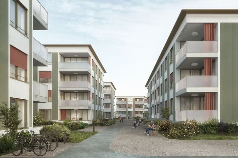 295_liestal-1600x1600.jpg