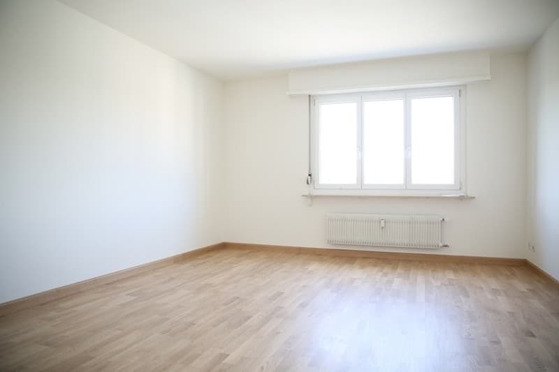 Wohn-/Schlafzimmer