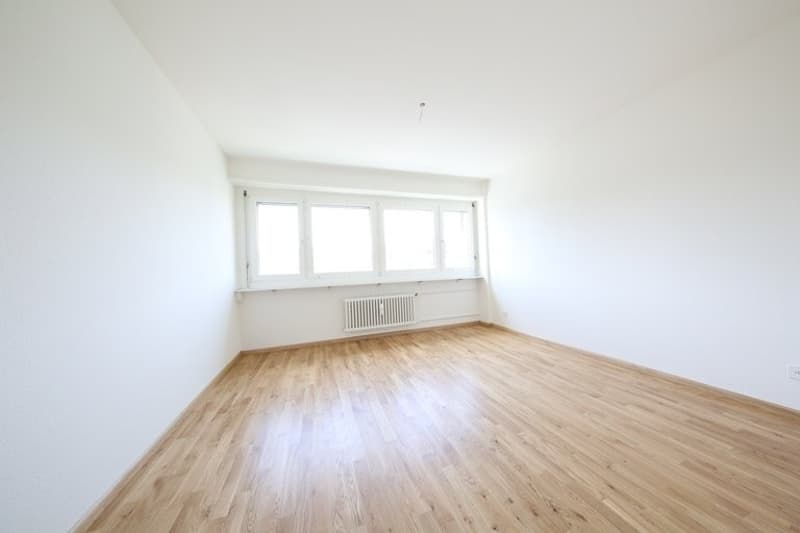 Zimmer_2
