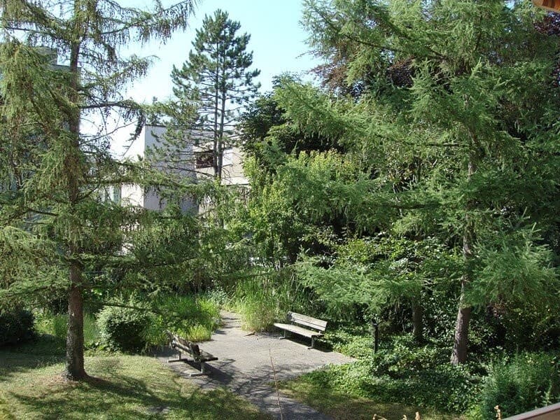 Hinterhof