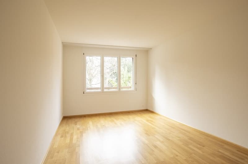 Zimmer_2.jpg