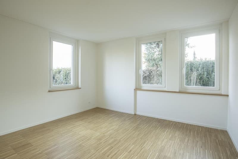 Zimmer