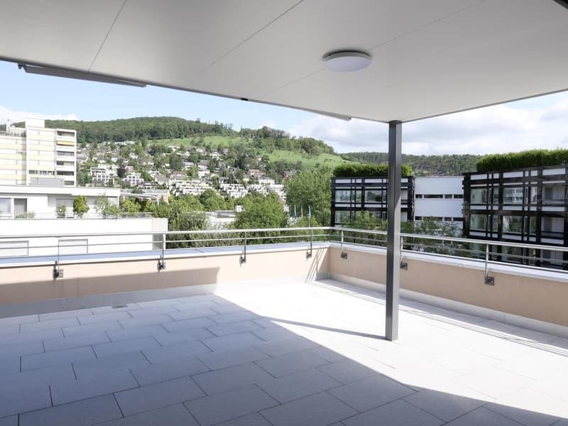 Dachterrasse