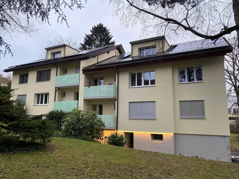 Helle Dachwohnung auf dem Bruderholz - mit ZEV (1)