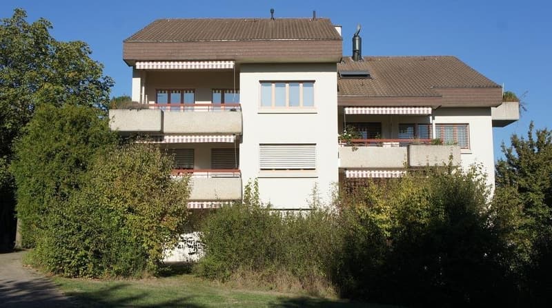 Umgebung