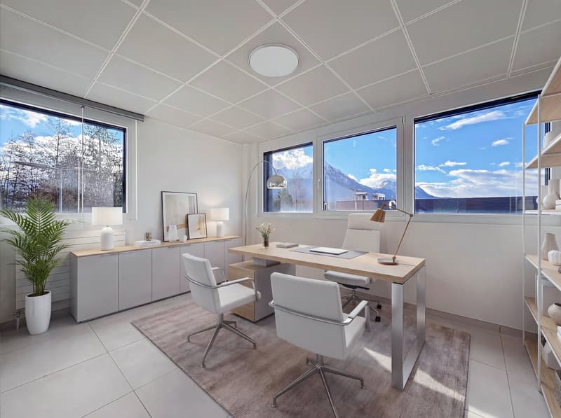 modern office with white walls, large windows, desk, chairs, lamps, potted plant, shelves, carpet