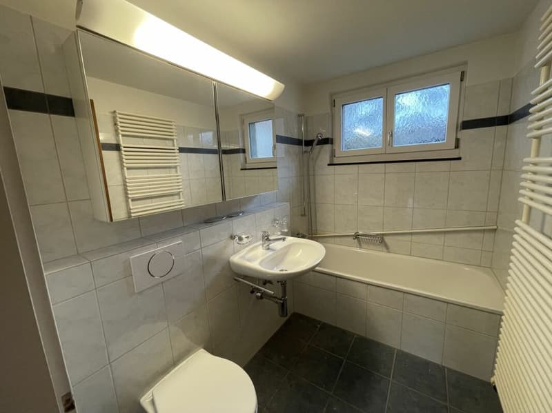 Appartement 4.5 pièces dans une maison de famille élégante à Winterthur-Wülflingen (9)