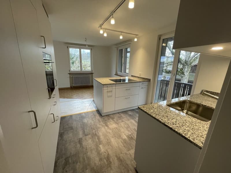 Appartement 4.5 pièces dans une maison de famille élégante à Winterthur-Wülflingen (5)