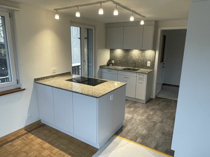 Appartement 4.5 pièces dans une maison de famille élégante à Winterthur-Wülflingen (4)