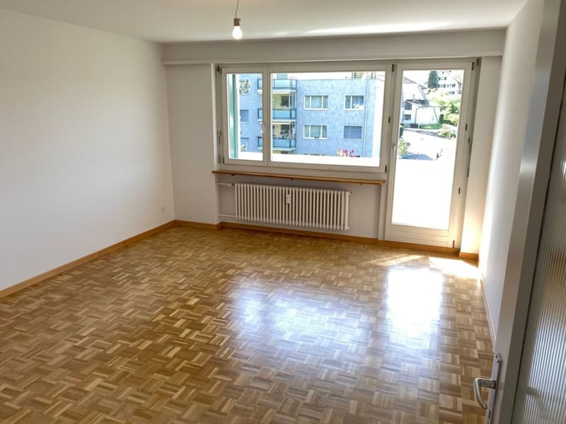 Appartamento di 3 camere in posizione centrale con balcone (2)