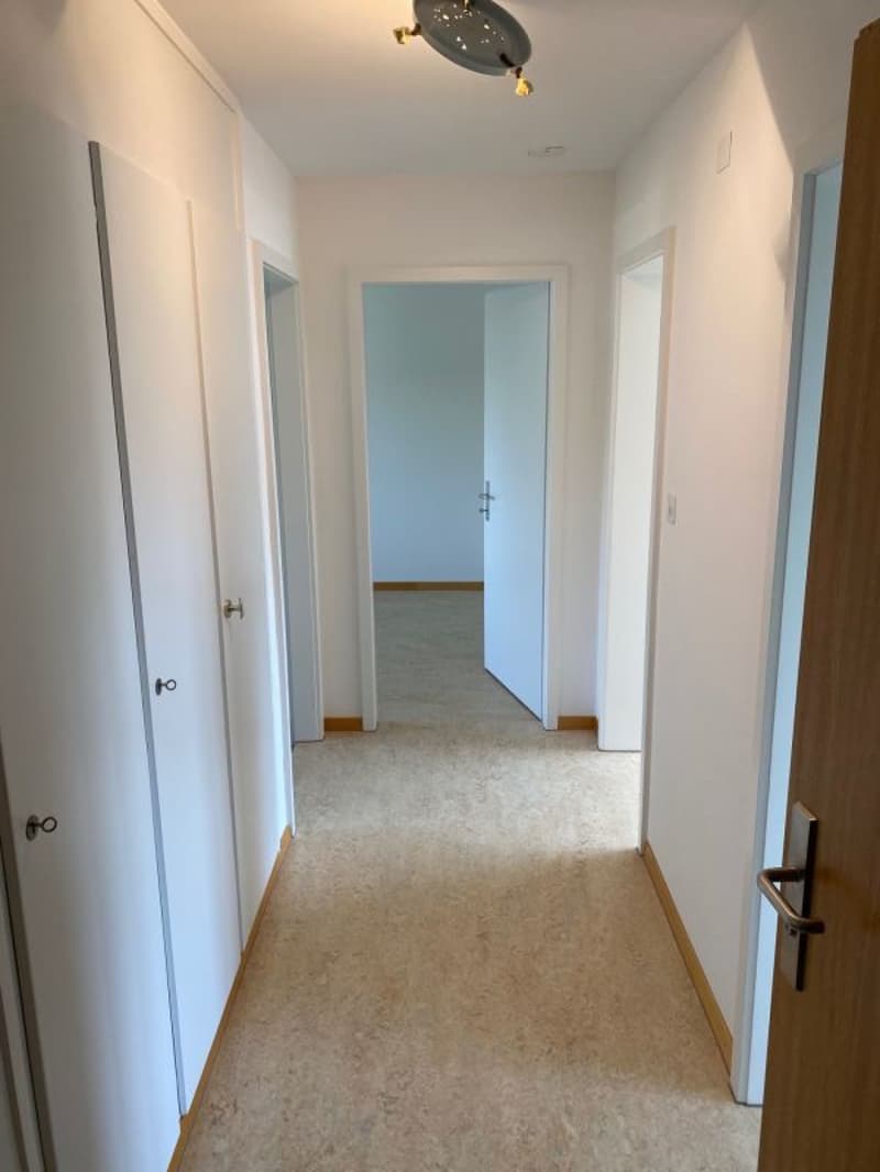 Appartamento di 3 camere in posizione centrale con balcone (5)