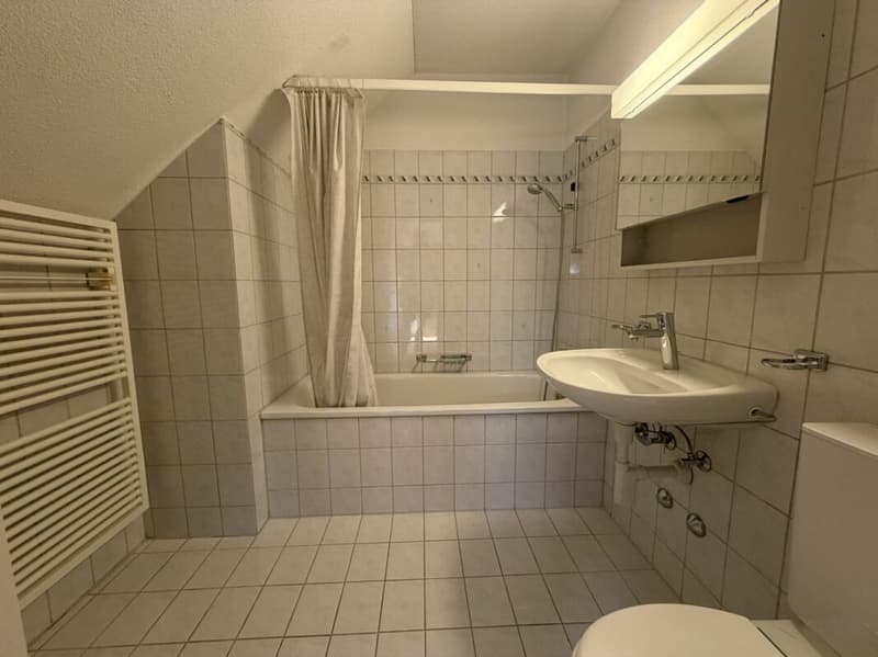 Spacious 1 1/2-room attic apartment in central location (7)