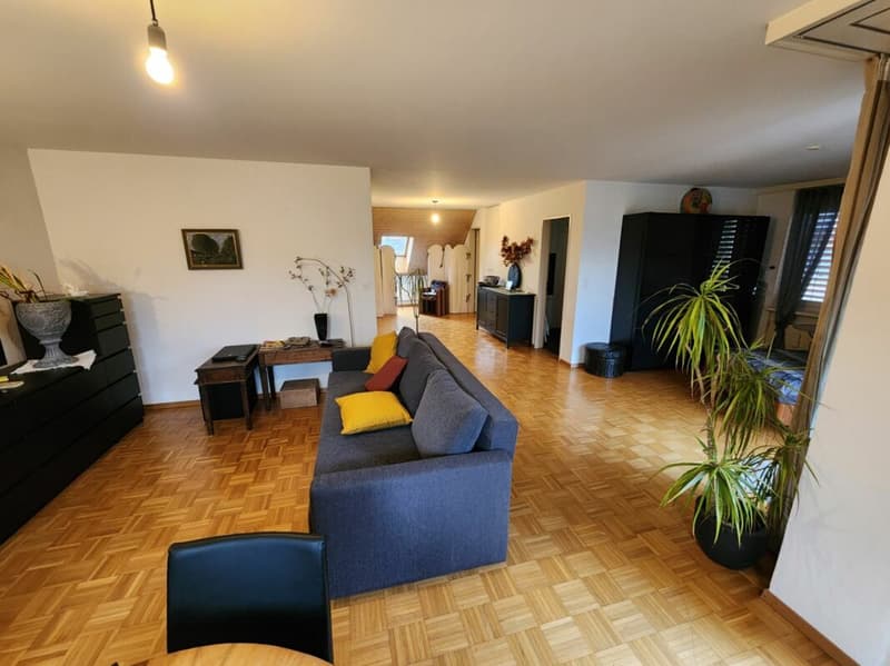 Spacious 1 1/2-room attic apartment in central location (4)