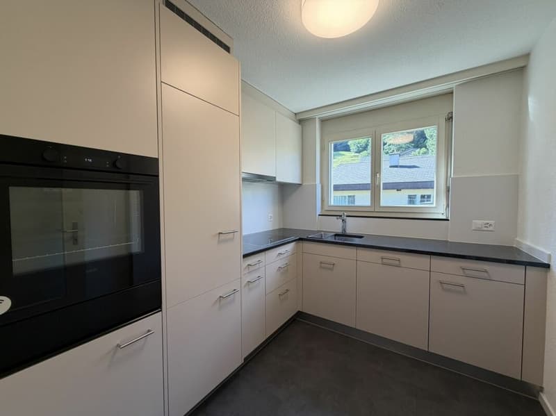Spacious 1 1/2-room attic apartment in central location (2)