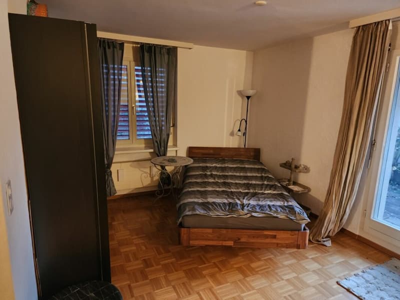 Spacious 1 1/2-room attic apartment in central location (6)