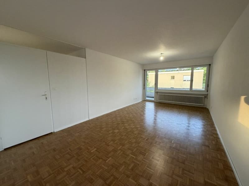 Appartamento modernizzato alla periferia della città (4)