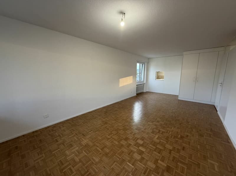 Appartamento modernizzato alla periferia della città (3)