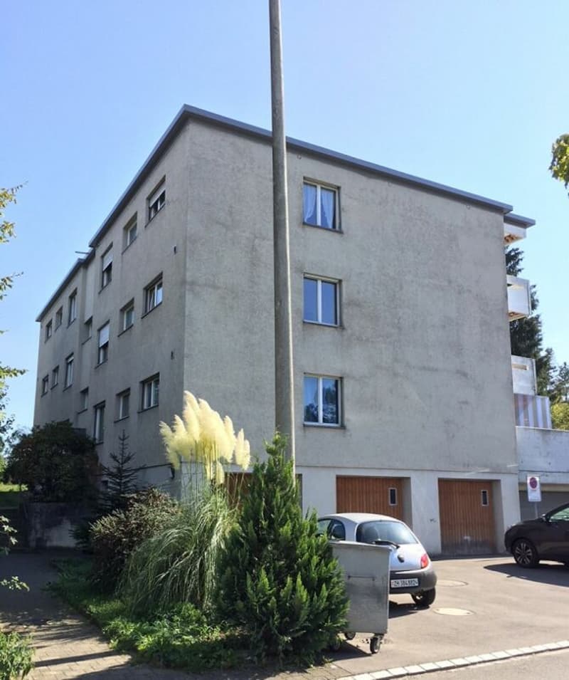 Appartamento modernizzato alla periferia della città (1)
